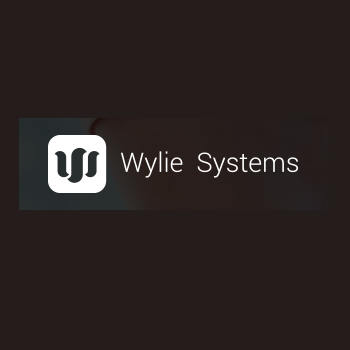 Wylie Business System logotipo