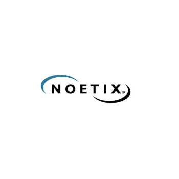 Noetix Analytics logotipo